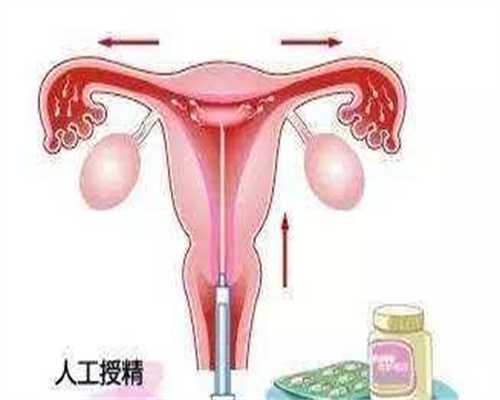 武汉单身女性供卵助孕攻略|不孕不育表现与避坑指南