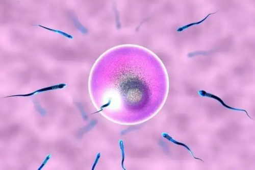 甲状腺功能检查不孕