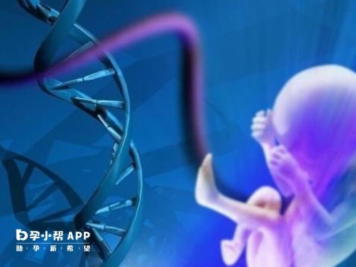 武汉三代试管指南，男性因素下高龄备孕的破局关键